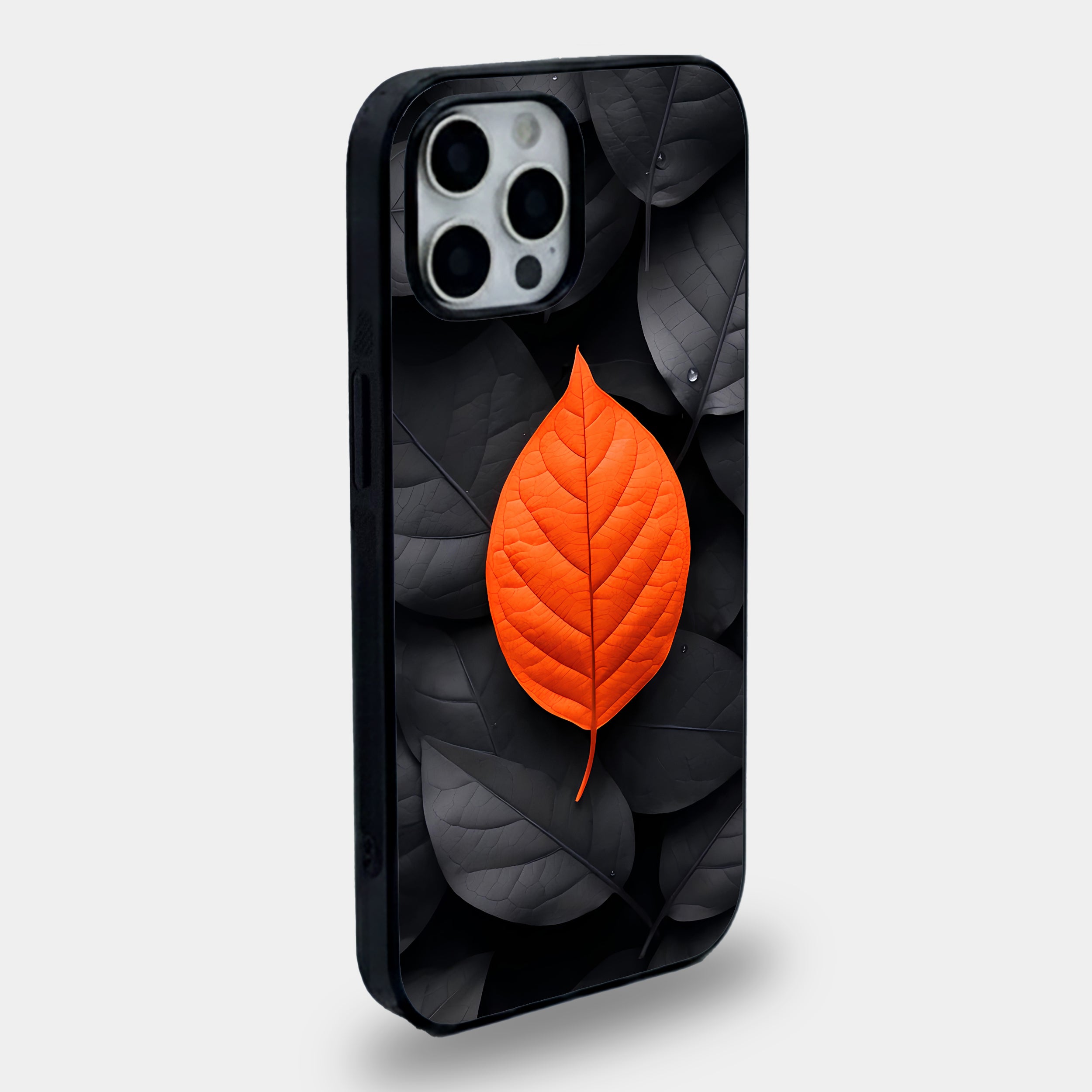 Autumn Contrast