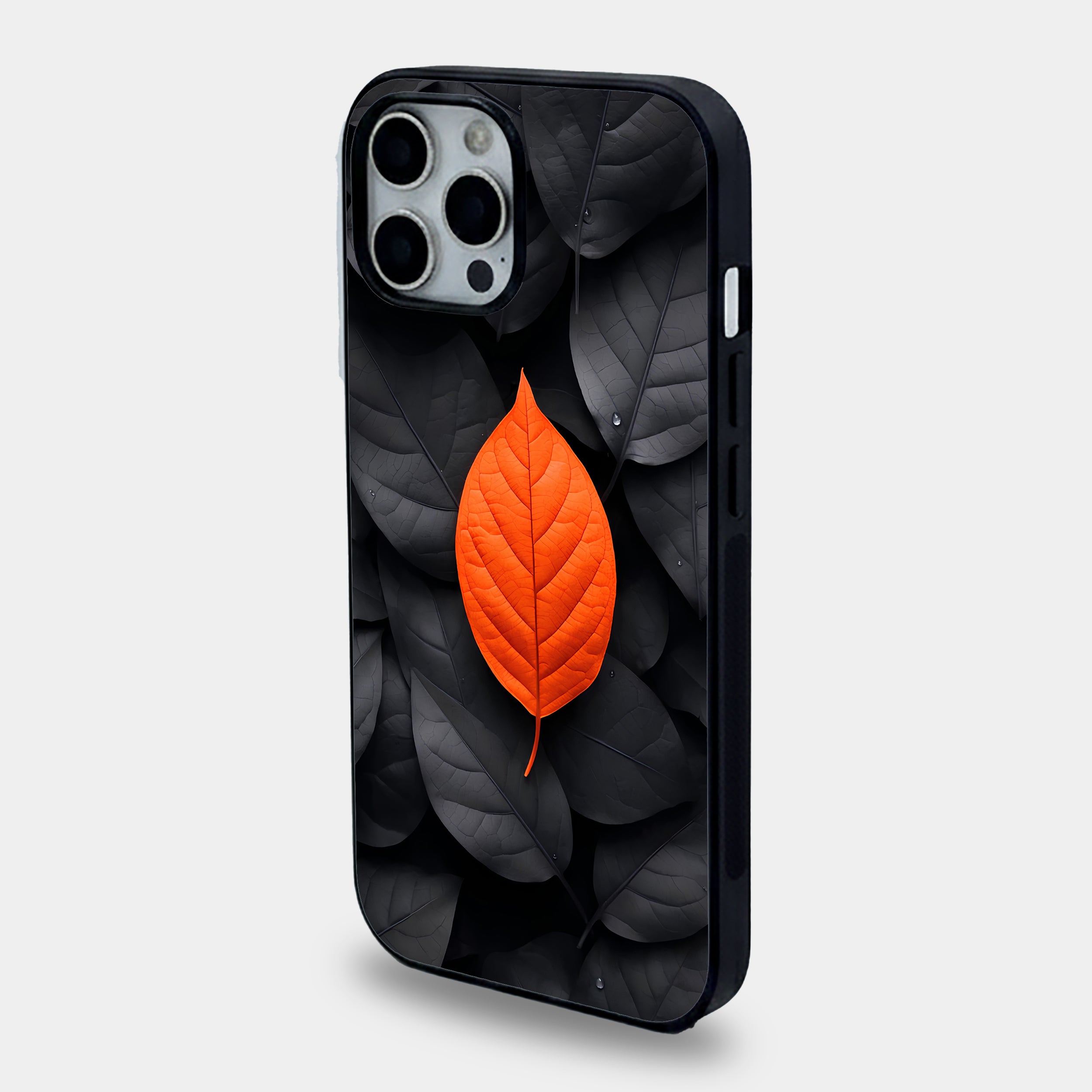 Autumn Contrast