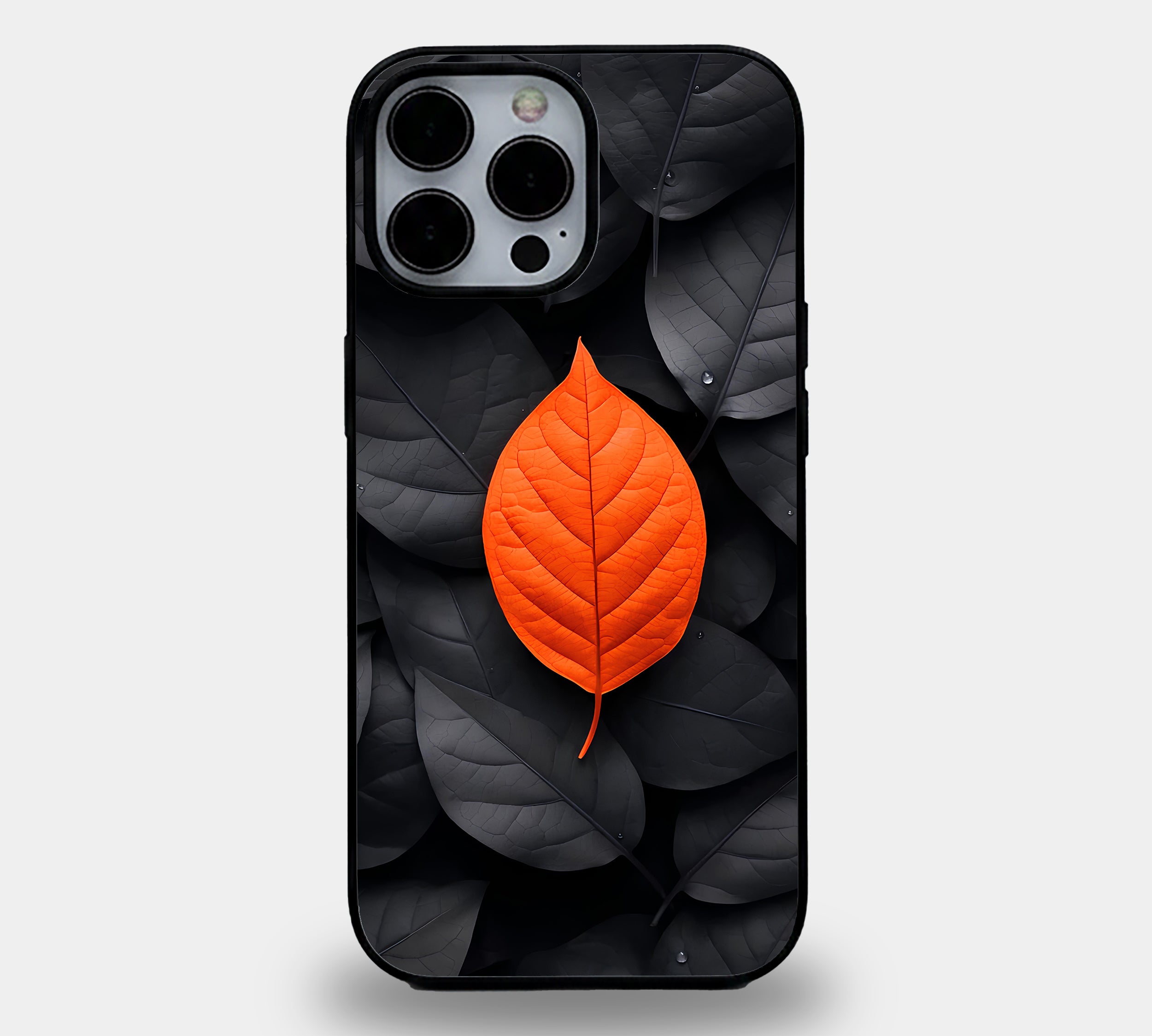 Autumn Contrast