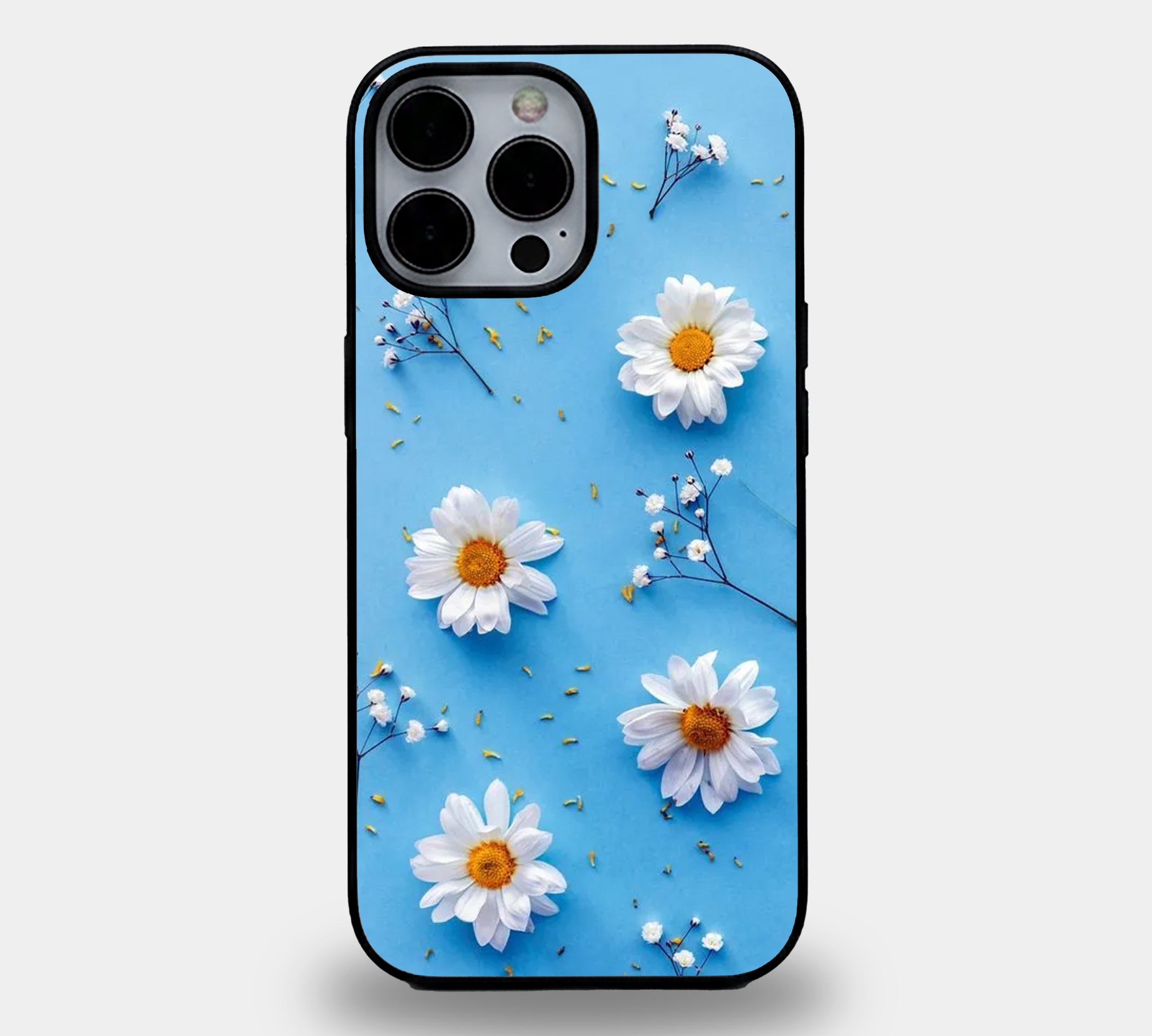 Real Daisy Blue Background